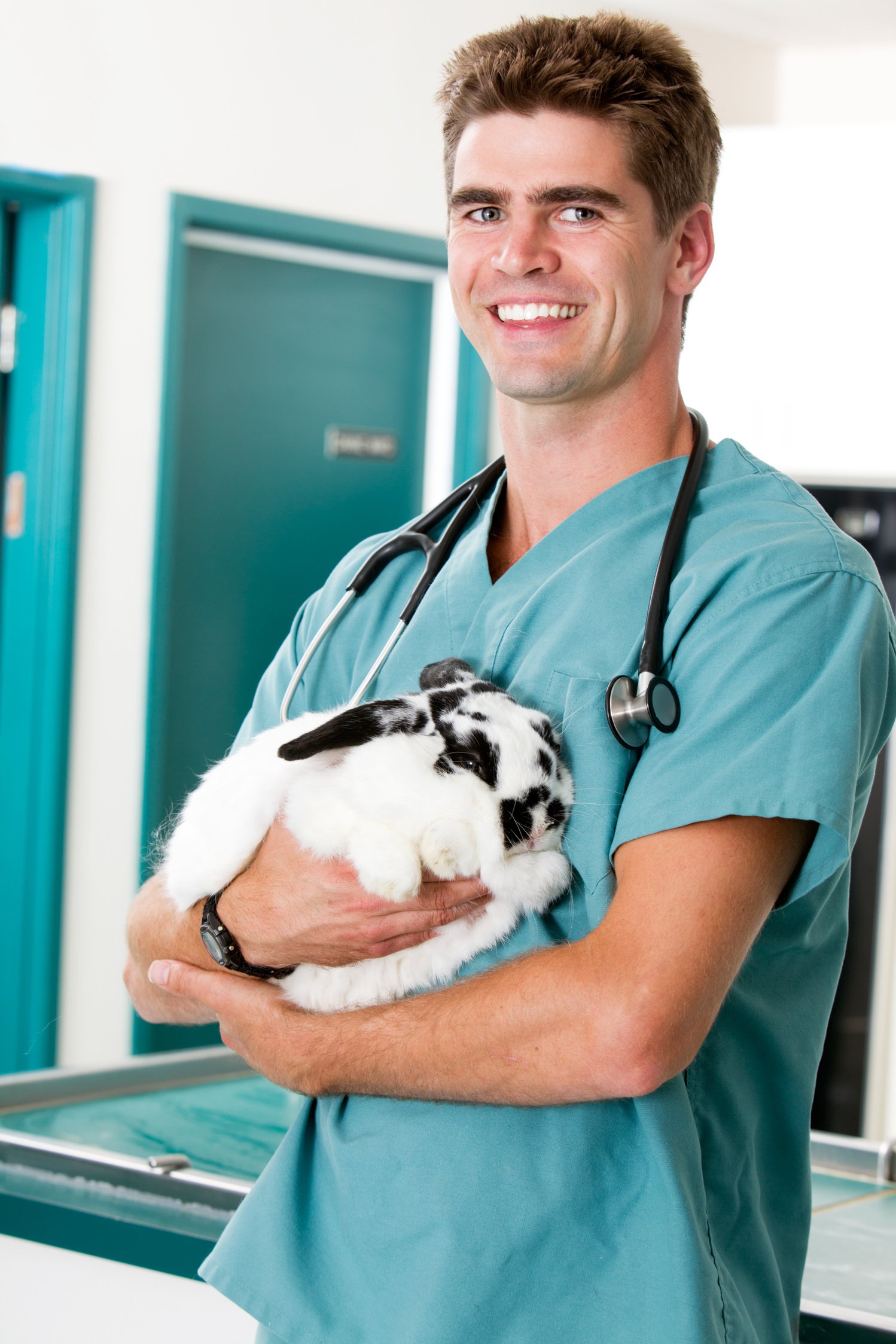 Male Vet Holding a Rabbit